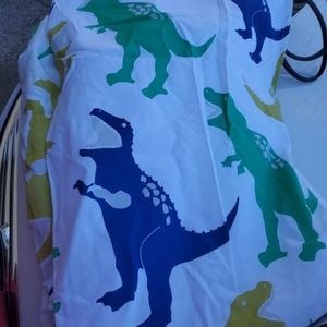 Dinosaur shower curtain barely, ever used $8.00